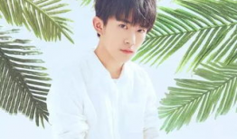 吃瓜直播间爆料娱乐圈易烊千玺,吃瓜直播间独家爆料揭秘