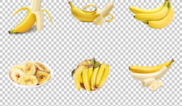 大香蕉国产精品